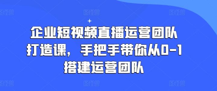 企业短视频直播运营团队打造课,手把手带你从0-1搭建运营团队-副业团