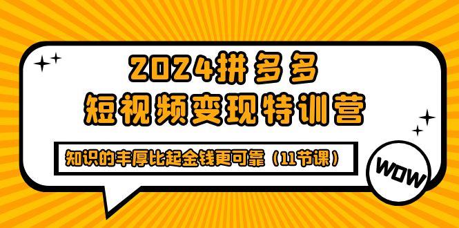 (9817期)2024拼多多短视频变现特训营，知识的丰厚比起金钱更可靠(11节课)-副业团