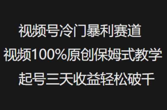 视频号冷门暴利赛道视频100%原创保姆式教学起号三天收益轻松破千-副业团
