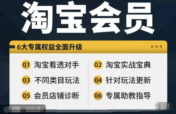 淘宝会员【淘宝所有课程,全面分析对手】,初级到高手全系实战宝典-副业团