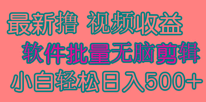(9569期)发视频撸收益，软件无脑批量剪辑，第一天发第二天就有钱-副业团