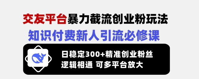 交友平台暴力截流创业粉玩法，知识付费新人引流必修课，日稳定300+精准创业粉丝，逻辑相通可多平台放大-副业团