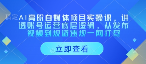 AI高阶自媒体项目实操课,讲透账号运营底层逻辑,从发布视频到规避违规一网打尽-副业团