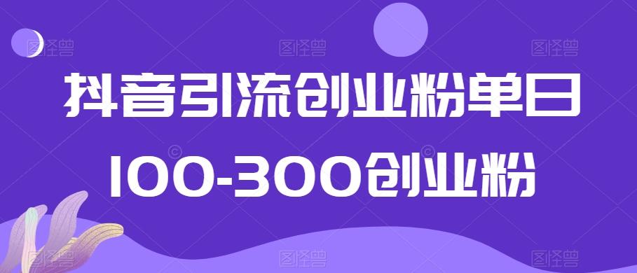 抖音引流创业粉单日100-300创业粉【揭秘】-副业团