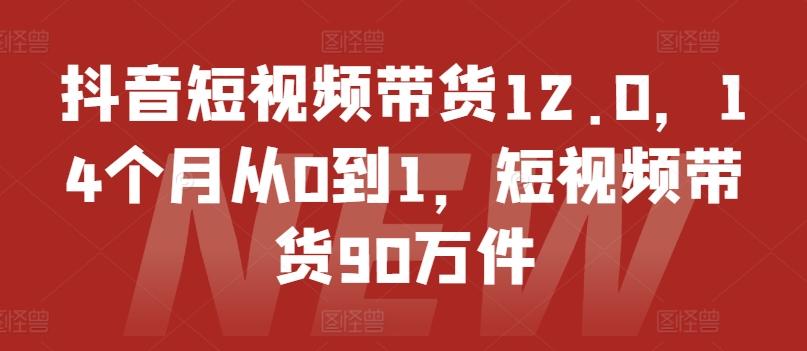 抖音短视频带货12.0，14个月从0到1，短视频带货90万件-副业团