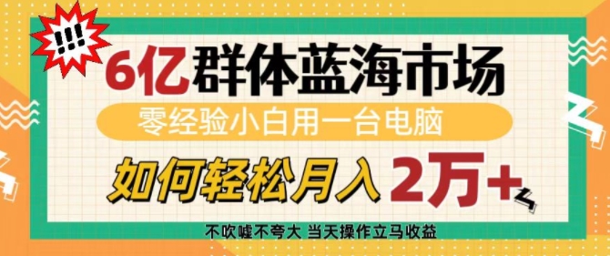 6亿群体蓝海市场，零经验小白用一台电脑，如何轻松月入过w【揭秘】-副业团