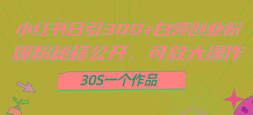 小红书日引300+高质白领创业粉,可放大操作,爆粉秘籍!30s一个作品-副业团
