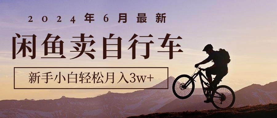 2024年6月最新闲鱼卖自行车,新手小白轻松月入3w+项目-副业团
