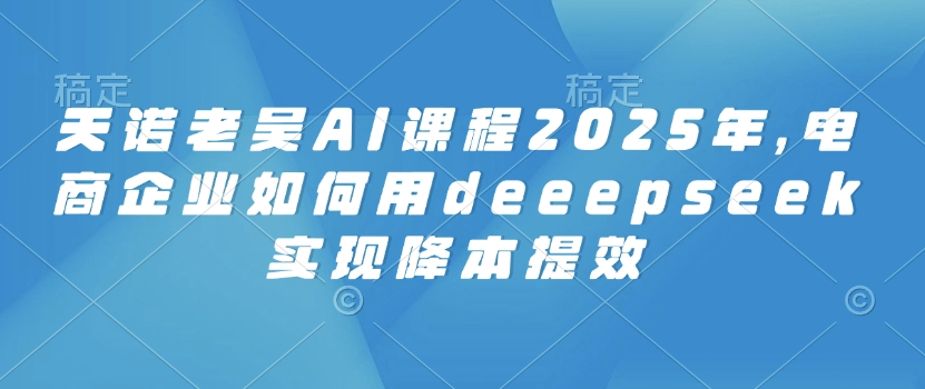 天诺老吴AI课程2025年，电商企业如何用deeepseek实现降本提效-副业团