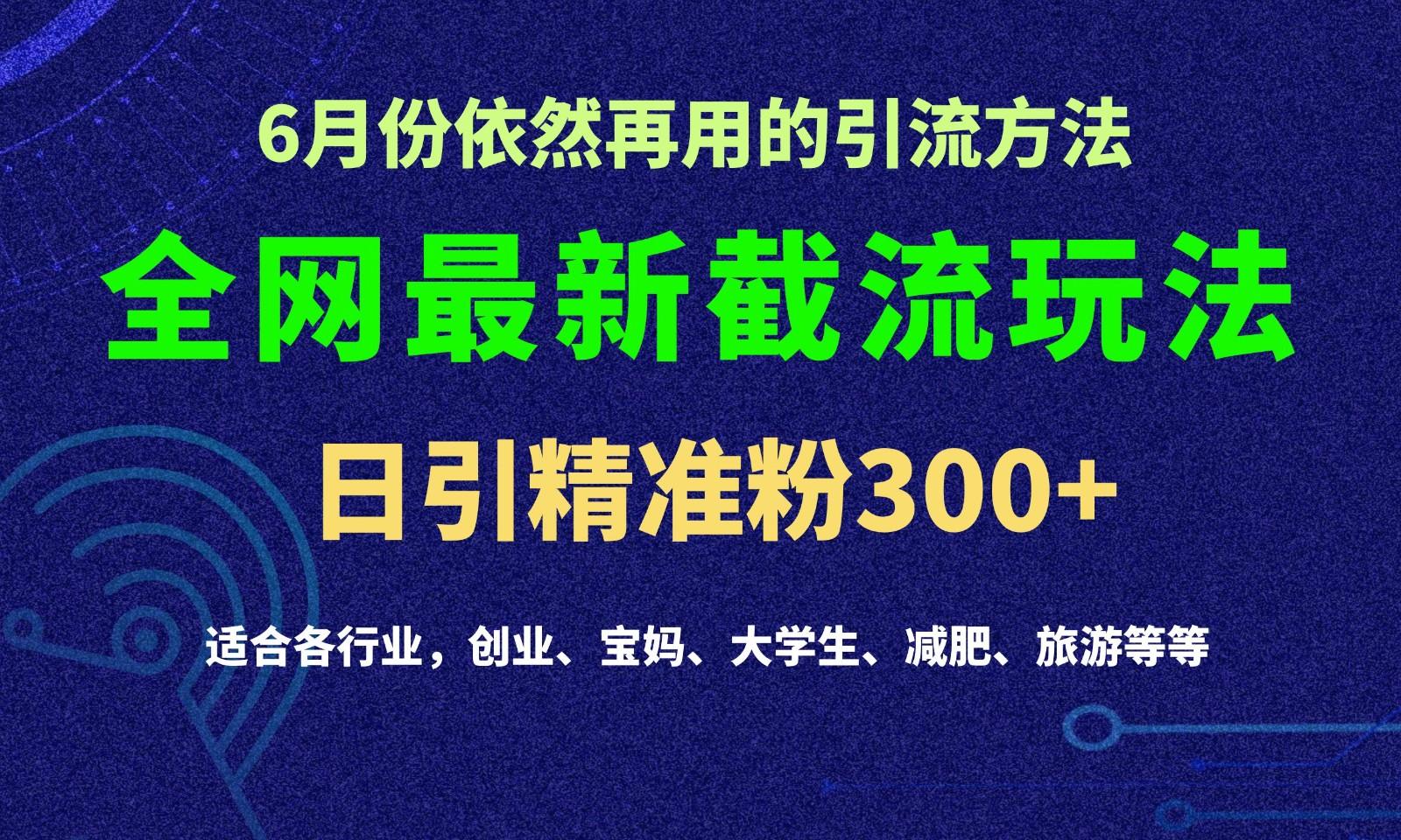 2024全网最新截留玩法,每日引流突破300+-副业团