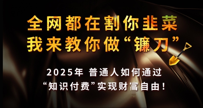 全网都在割你韭菜,我来教你做镰刀,2025年普通人如何通过 知识付费 实现财F自由【揭秘】