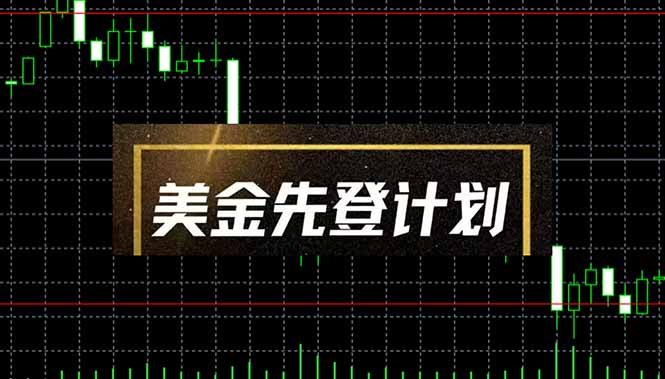 美金先登计划(2025黑马项目-副业团