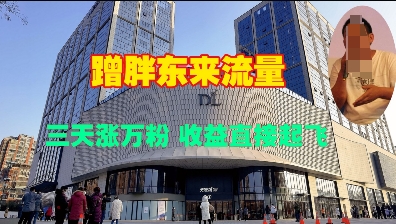 蹭胖东来流量,三天涨万粉,收益直接起飞-副业团