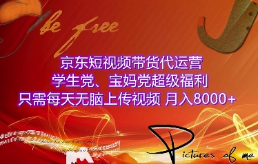 京东短视频带货代运营,学生党、宝妈党超级福利,只需每天无脑上传视频,月入8000+【仅揭秘】-副业团