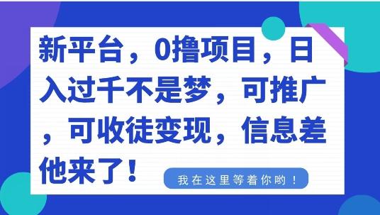 不要再花冤枉钱了，0撸项目，每天坚持，稳定1000+-副业团