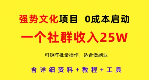 强势文化项目,一个社群收入25个W,0成本启动,可矩阵批量操作,原创详细实操教程-副业团