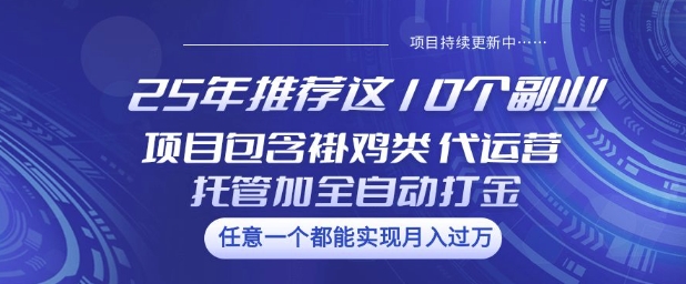 25年推荐这10个副业项目包含褂鸡类、代运营托管类、全自动打金类【揭秘】-副业团