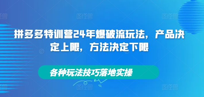 拼多多特训营24年爆破流玩法,产品决定上限,方法决定下限,各种玩法技巧落地实操-副业团