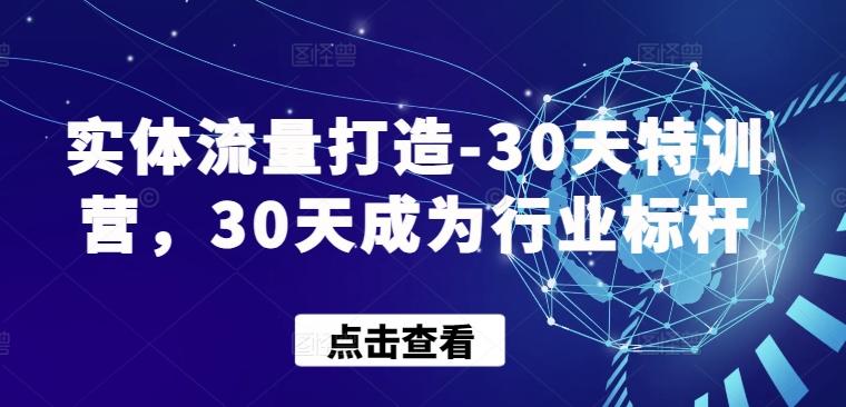 实体流量打造-30天特训营，30天成为行业标杆-副业团