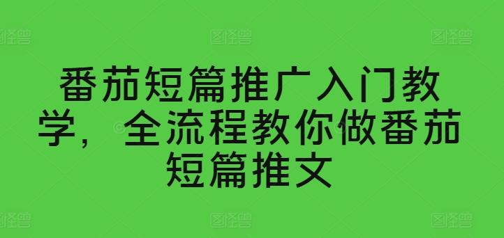 番茄短篇推广入门教学,全流程教你做番茄短篇推文-副业团