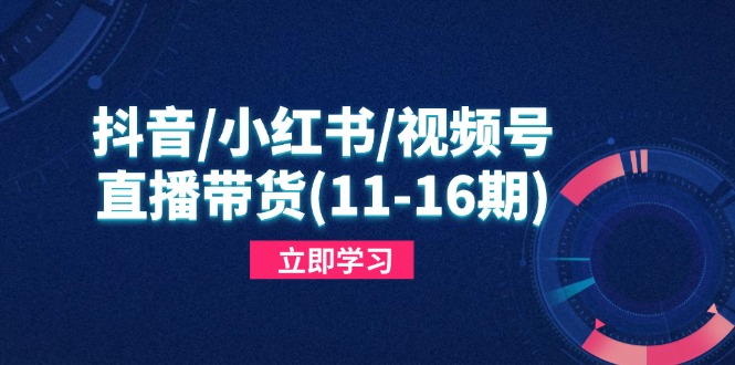 抖音/小红书/视频号/直播带货(11-16期-副业团
