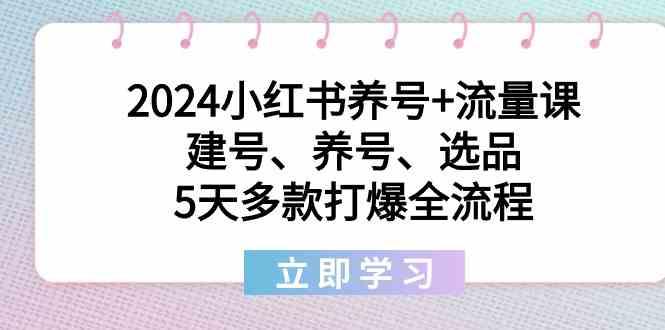 2024小红书养号+流量课:建号、养号、选品,5天多款打爆全流程-副业团