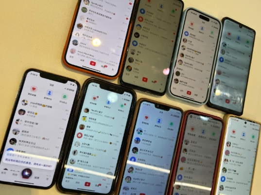 首发揭秘小红书私域日引500+创业粉四大模板,月入过W+全程干货!没有废话!保姆教程!