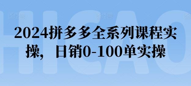 2024拼多多全系列课程实操,日销0-100单实操【必看】-副业团