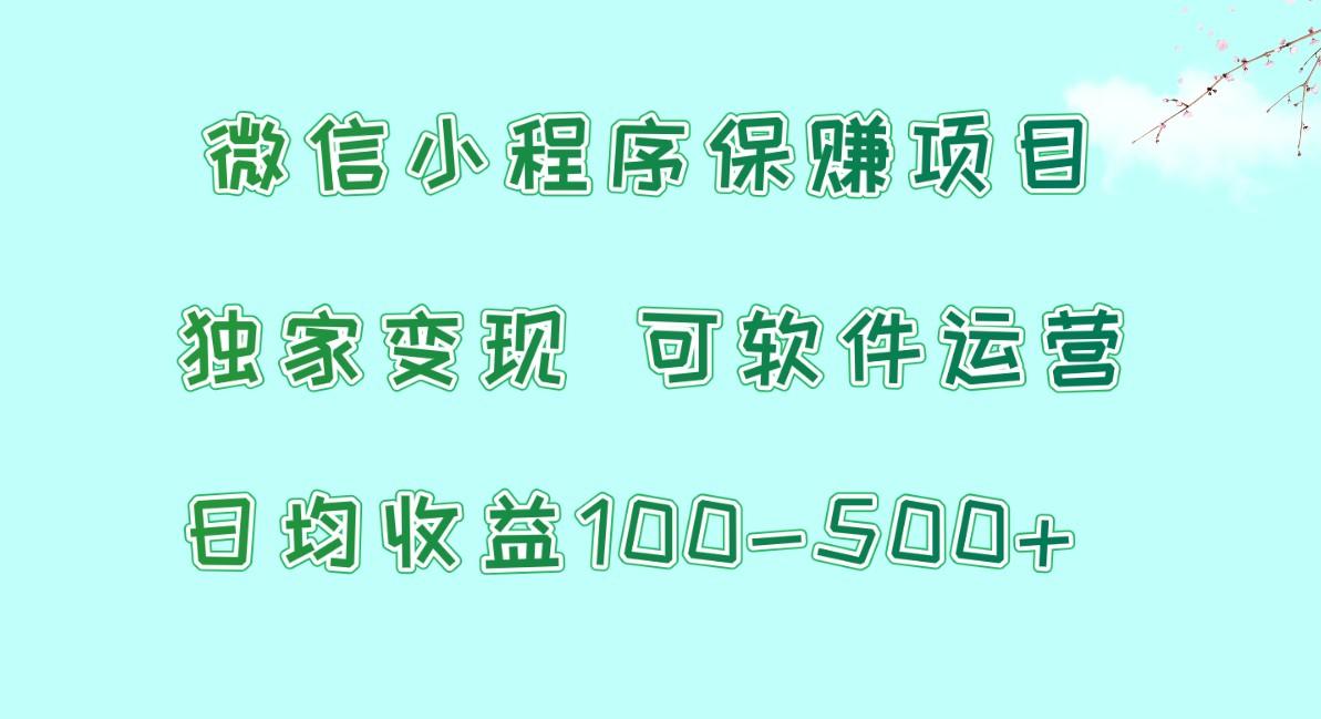 微信小程序保赚项目,日均收益100~500+,独家变现,可软件运营-副业团
