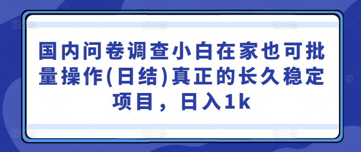 国内问卷调查小白在家也可批量操作(日结)真正的长久稳定项目，日入1k【揭秘】-副业团