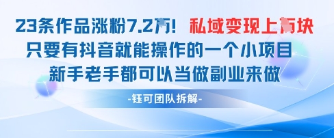 抖音私域项目23条作品涨粉7.2W,私域变现1W-副业团