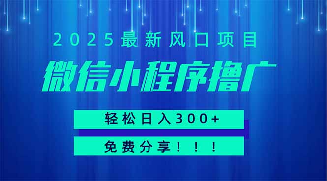 微信小程序撸广,最新风口项目,日入300+ 免费分享 可批量操作 小白可...-副业团