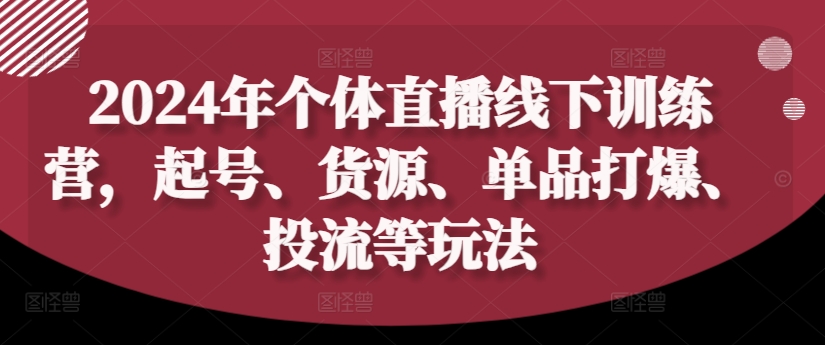 2024年个体直播训练营,起号、货源、单品打爆、投流等玩法-副业团