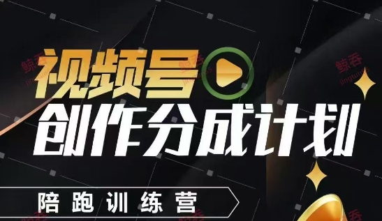 视频号创作分成计划陪跑训练营,手把手教会你如何制作视频,细水长流型项目-副业团