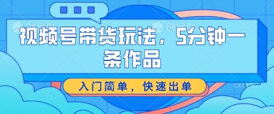 视频号带货玩法,5分钟一条作品,入门简单,快速出单【揭秘】-副业团