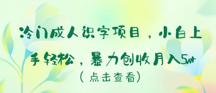 冷门成人识字项目，小白上手轻松，暴力创收月入5w+【揭秘】-副业团