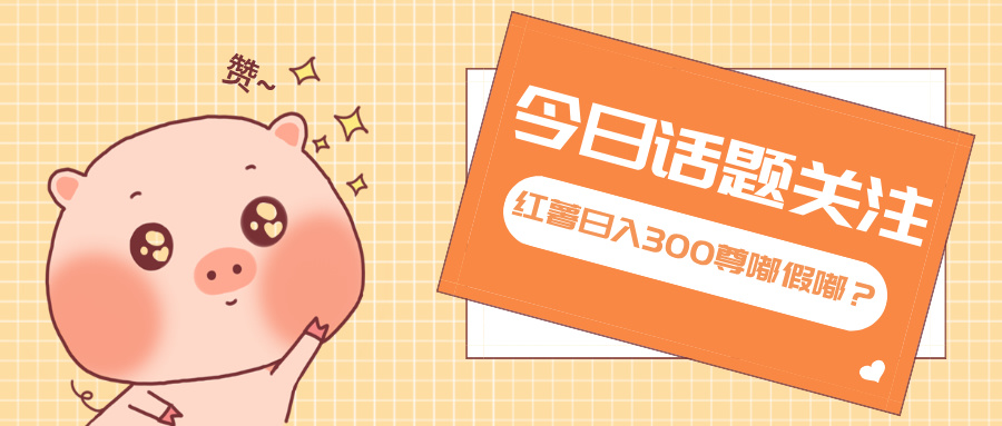 全新红薯浏览,打破常规 双端操作,每天运行6小时,让你获得工作以外的...-副业团