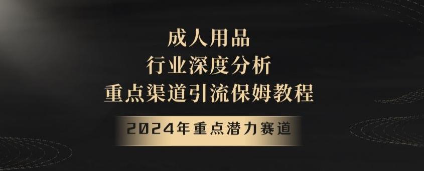 2024年重点潜力赛道,成人用品行业深度分析,重点渠道引流保姆教程【揭秘】-副业团