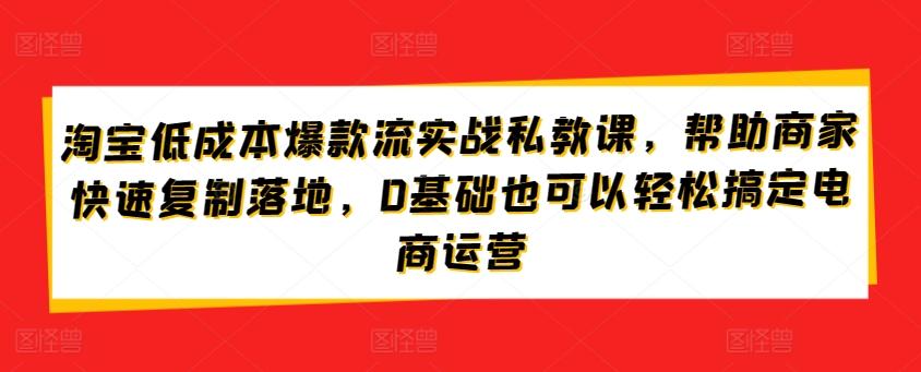 淘宝低成本爆款流实战私教课,帮助商家快速复制落地,0基础也可以轻松搞定电商运营-副业团