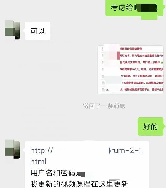 小彬网虚拟资源网站培训课程,如何一个月快速做出盈利的资源网站(实打实经验)