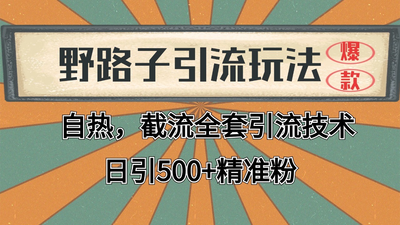 抖音小红书视频号全平台引流打法,全自动引流日引2000+精准客户-副业团