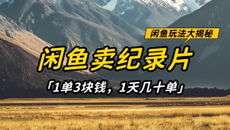 闲鱼卖纪录片1单3块钱，1天几十单，项目稳定有潜力-副业团