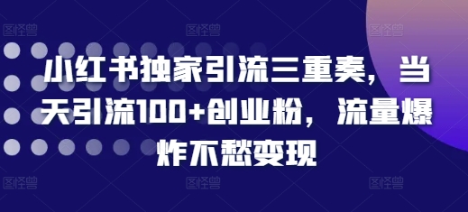 小红书独家引流三重奏,当天引流100+创业粉,流量爆炸不愁变现【揭秘】-副业团