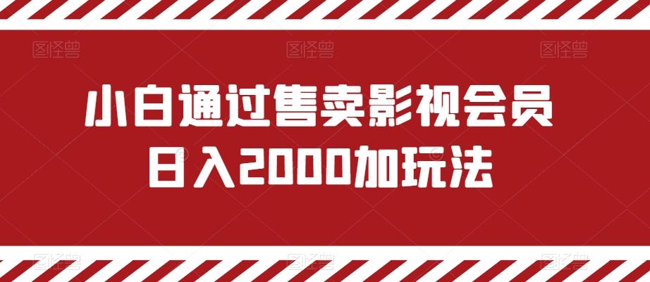小白通过售卖影视会员日入2000加玩法-副业团