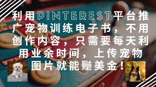 利用Pinterest平台推广宠物训练电子书,不用创作内容,只需要每天利用业余时间,上传宠物图片就能挣美金!-副业团