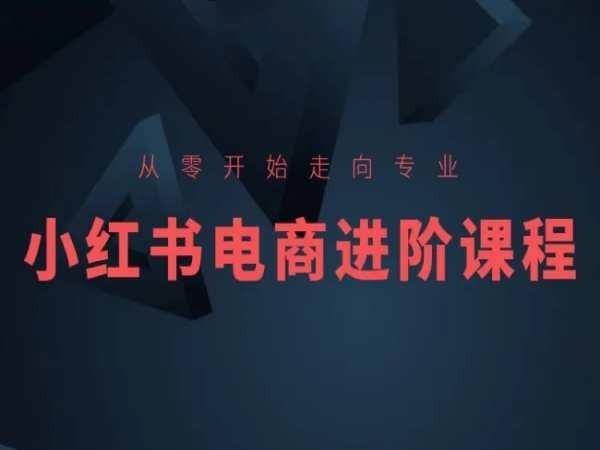 从零开始走向专业，小红书电商进阶课程-副业团
