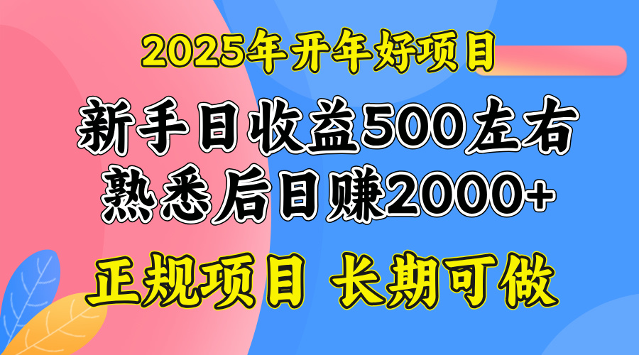 2025开年好项目,单号日收益2000左右-副业团