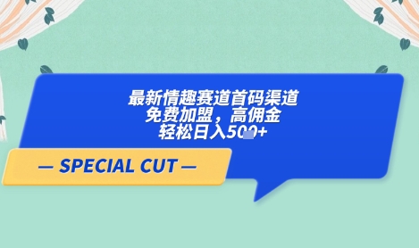 【轻云】最新情趣赛道首码渠道,免费加盟,高佣金,轻松日入5张+-副业团