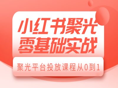 小红书聚光零基础实战,聚光平台投放课程从0到1-副业团