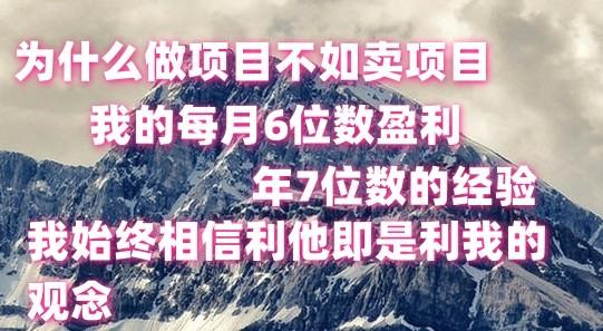 做项目不如卖项目,每月6位数盈利,年7位数经验-副业团